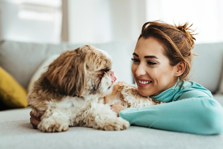 How to Choose a Cat Litter Box That Actually Fits Your Home