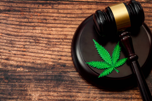 Is CBD Legal in Your State? 2026 Laws Explained