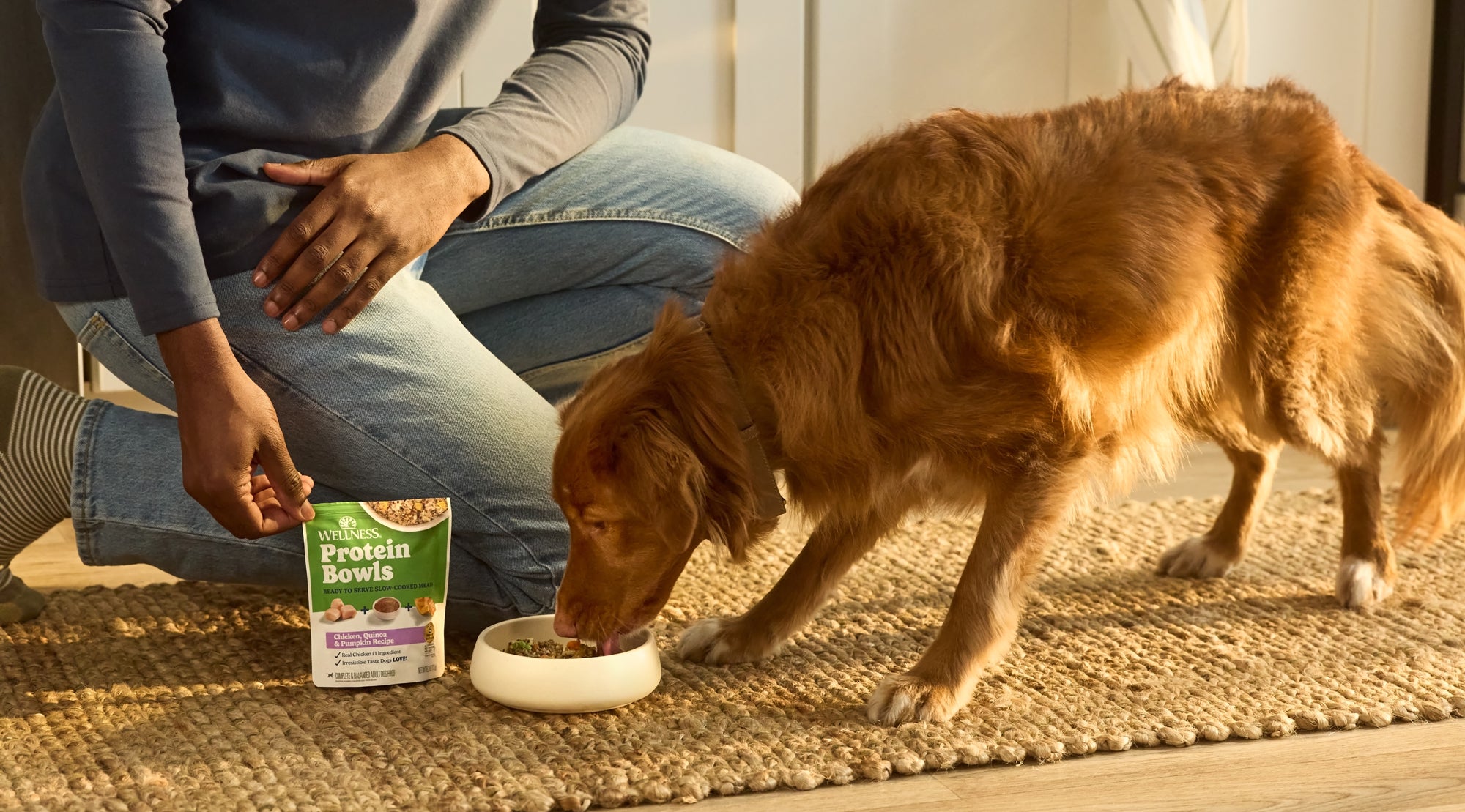 Best Dog Food in 2026 — Vet-Reviewed & Lab-Tested Rankings